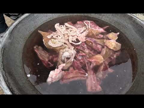 Видео: Садака 2024