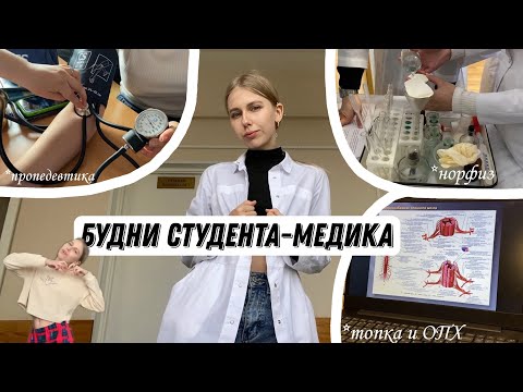 Видео: Влог: Будни студента-медика // study with me // пропедевтика🫀, учимся шить на топке // усталость..