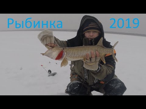 Видео: Новогодние выходные 2019 на рыбинке. Рыбалка.