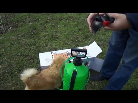 Видео: Опрыскиватель пневматический Лемира ОП 202