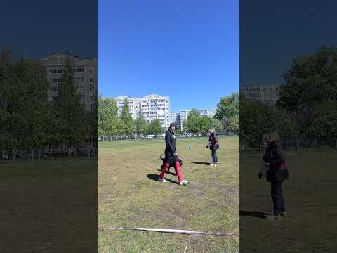 Видео: ЧРТ-2024 по Обидиенс. Обидиенс-0. Адылева Ирина и ризеншнауцер Рипли, 2 место, 217,5 б., "хорошо"