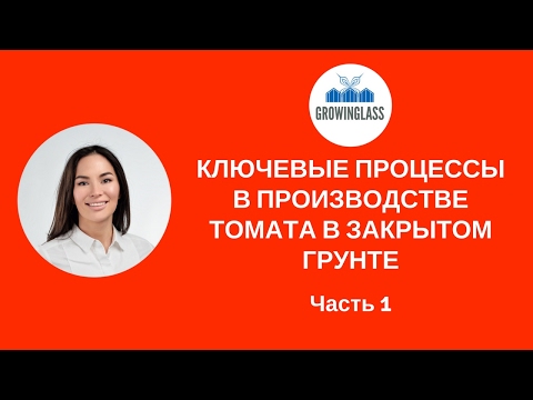 Видео: Ключевые процессы в производстве томата в закрытом грунте часть 1
