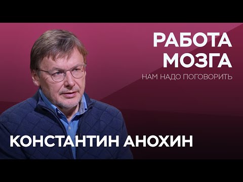 Видео: Как связаны мозг, сознание и душа / Константин Анохин // Нам надо поговорить