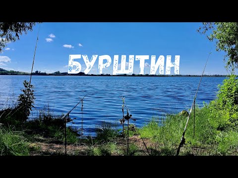 Видео: Бурштинське водосховище "дало нам ляща"! Риболовля з ночівлею.