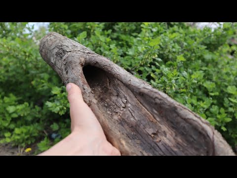 Видео: Нашел ОТЛИЧНУЮ корягу!! И сделал из этого КРУТУЮ ВЕЩЬ! сделай сам