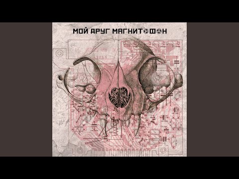 Видео: мой друг магнитофон