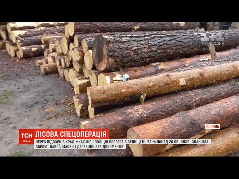 Видео: У Волинській області відбулися масові обшуки у підозрюваних в крадіжці лісу