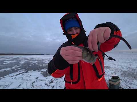 Видео: Первая зимняя рыбалка в 2020 году! 30 января, Ладога! Лед есть