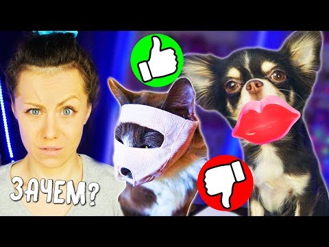 Видео: ТОП 5 БЕЗУМНЫХ ТОВАРОВ ДЛЯ ЖИВОТНЫХ ПРОВЕРКА АЛИЭКСПРЕСС | ПЕТШОПИНГ Magic Family