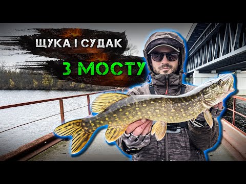 Видео: ✅Ловимо щуку і судака з МОСТУ в ЦЕНТРІ КИЄВА✅