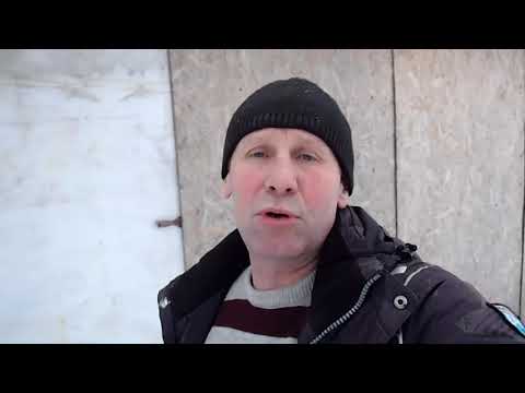 Видео: Почему забиваю хряка