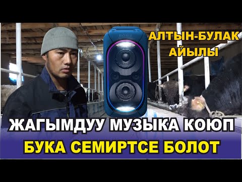 Видео: ӨЗГӨН РАЙОНУНУН АЛТЫН-БУЛАК АЙЫЛЫНЫН ӨЗГӨЧӨЛҮГҮ
