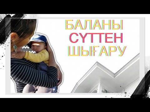 Видео: Баланы қалай сүттен шығаруға болады?| Сүттен шығарғанда қалай қолдау көрсету керек?