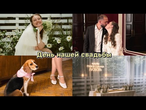 Видео: День нашей свадьбы, фотосессия, роспись и вечеринка
