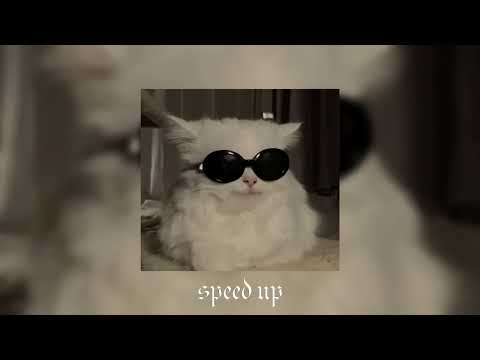 Видео: Плейлист  Песен из тик тока которые знает каждый  Speed up   Nightcore