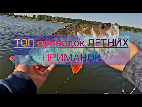 Видео: ТОП проводок. Трофей всей жизни пойман!