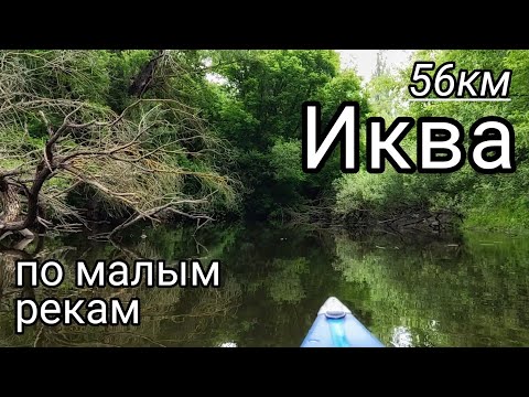 Видео: Река Иква Устье реки Иква По малым рекам