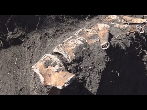 Видео: Исследование кургана раннего железного века