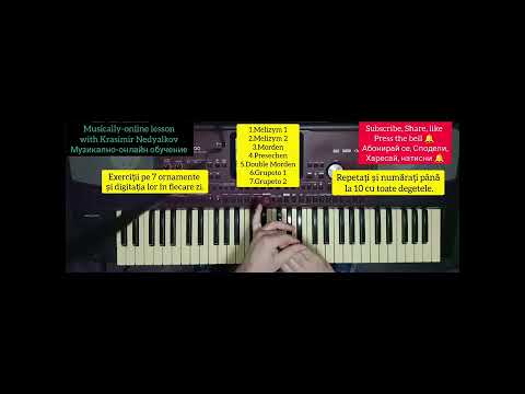 Видео: 1. Урок 1 для всех 7 орнаментов и их аппликатуры