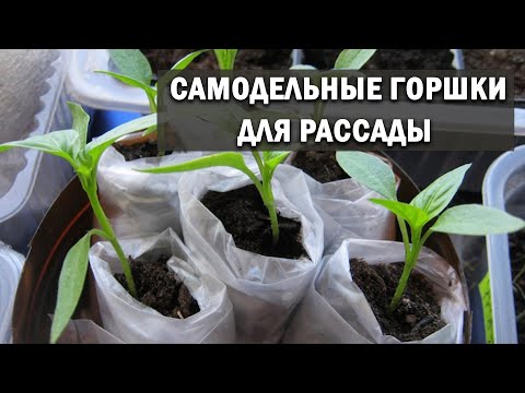 Видео: Самодельные горшки для рассады за копейки, которые в 100 раз лучше покупных.