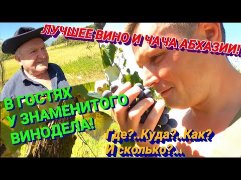 Видео: Абхазия 2020. Вино и чача в Абхазии. Где купить хорошее вино в Абхазии. Цена. Качество. Хванчкара.