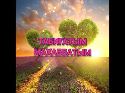 Видео: Табиғатым Махаббатым | жаңа кавер