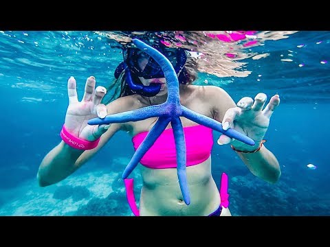 Видео: Остров Ко Рок - лучший подводный мир Таиланда