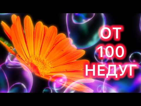 Видео: СТАКАН в день и ЖЕЛУДОК как НОВЫЙ / Панкреатит, гастрит, язва, кишечник/ Вмиг на ноги поставит