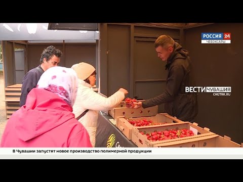Видео: В Чебоксарах появился еще один фермерский рынок