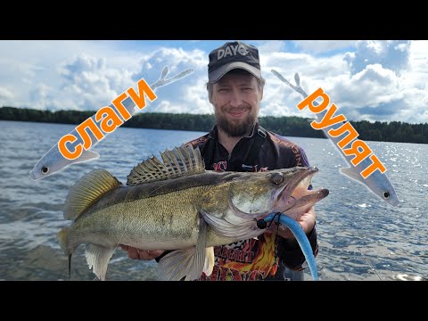 Видео: Не рыбалка, а мечта! Трофейные судаки, сомы!!!
