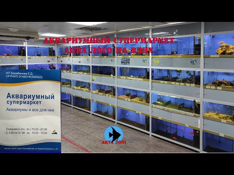 Видео: Аквариумный супермаркет.  Аква ЛОГО на ВДНХ.
