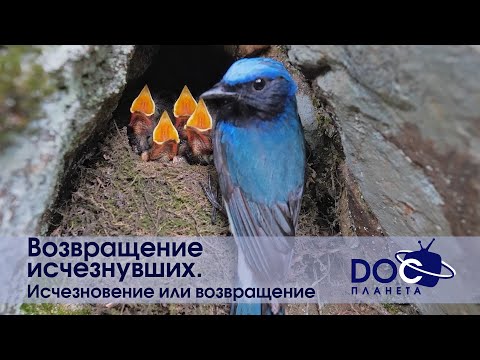 Видео: Возвращение исчезнувших - Часть 2.Исчезновение или возвращение - Документальный фильм