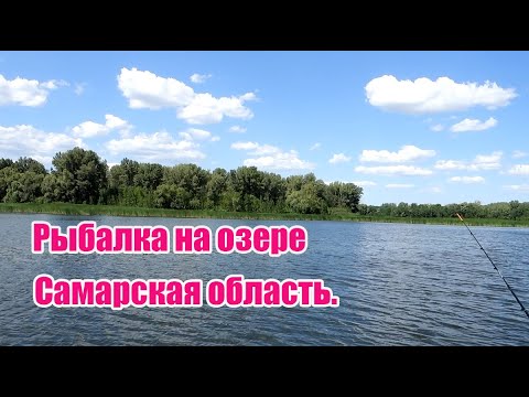 Видео: Рыбалка на озере в Самарской области ! Потрясающий отдых ! Отличный завтрак на ходу !