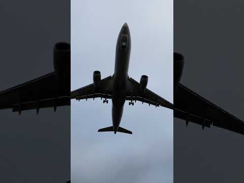 Видео: 9 ноября 2025 г.