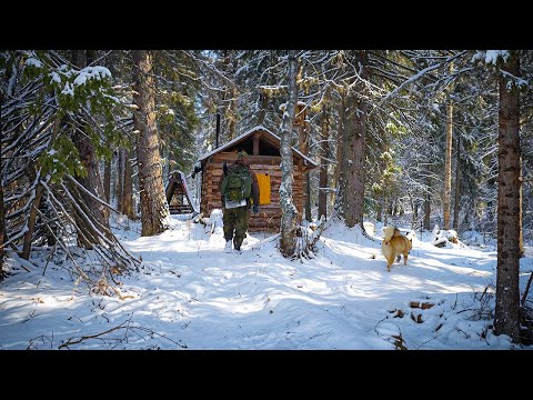 Видео: МЕДВЕДЬ ХОДИТ У ИЗБЫ. ПОСЛЕДНИЙ ЛЕД, ЖЕРЛИЦЫ.