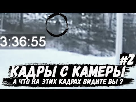 Видео: Кадры с камеры наблюдения #2. А что на этих кадрах видите вы? Игорь Гаврилов. Заправка Контокки