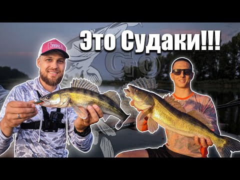 Видео: Судак на закате | снова слаги + секретная приманка