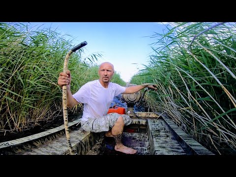 Видео: Рыбалка на хапуги или на кастинговую сеть американку, что круче. Рыбалка в Сибирских болотах