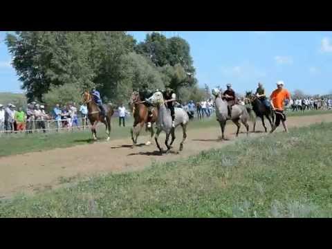 Видео: Скачки в Угольном 2015