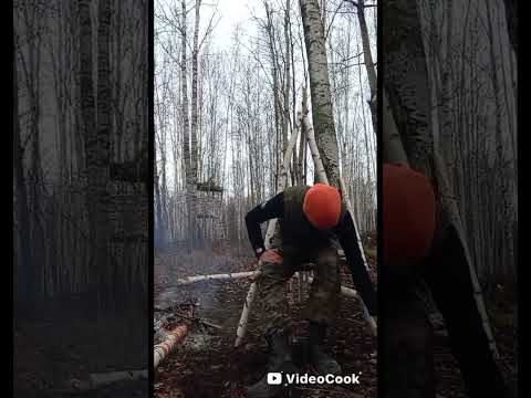 Видео: ОБЗОР: Ножа "ЗОДИАК" и "КОЛЫМА-1" 