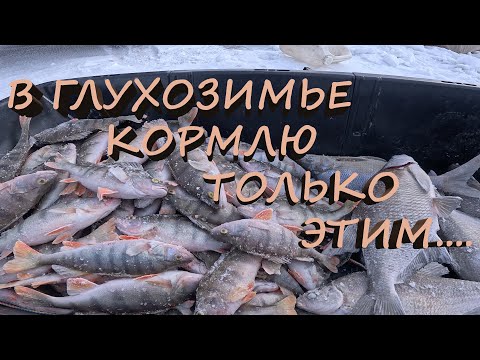 Видео: РЫБАЧУ МЕЖДУ ЛЕБЯЖЬЕМ  И СОВ. ХАКАСИЕЙ  | 3-Я ПРОТОКА | РЫБОЛОВНОЕ ЧУТЬЁ