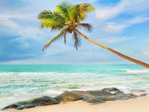 Видео: 🍃ВОЛШЕБНАЯ ПОДБОРКА ЛУЧШИХ МАНТР🍃