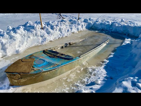 Видео: Непонятно но очень интересно 🤔 (30 лет одиночества 76 серия)