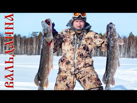 Видео: Однажды 31 февраля на рыбалке / Вы этого не видели ,а я Вам этого не показывал