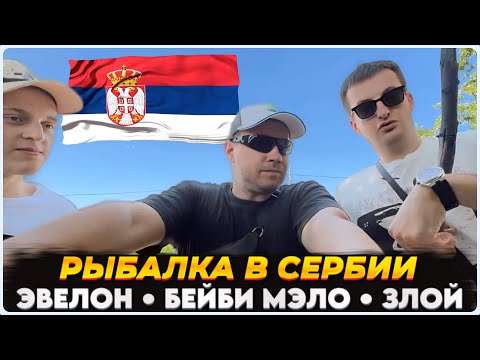 Видео: ЛИКС НА РЫБАЛКЕ В СЕРБИИ • feat. ЭВЕЛОН, ЗЛОЙ, БЕЙБИ МЭЛО, АУНКЕР, ЛИЗА