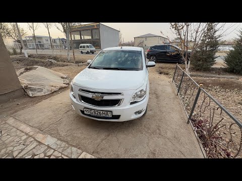 Видео: ЗУДЛИК БИЛАН КОБАЛЬТ СОТИЛАДИ ЭГАДАН ПУЛ ЗАРУР АРЗОН НАРХДА 