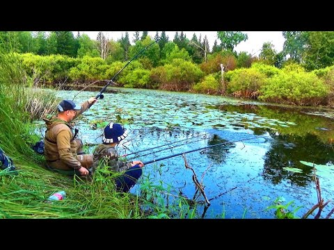 Видео: ПРИВЁЛ ЕГО НА СЕКРЕТНОЕ КАРАСЁВОЕ ОЗЕРО, А ОН ВЗЯЛ МЕНЯ И ОБЛОВИЛ!!!