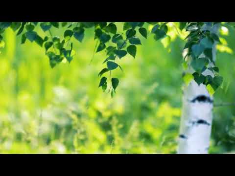 Видео: 25 января 2021 г.