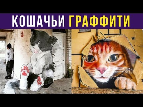 Видео: Приколы. КОШАЧЬИ ГРАФФИТИ | Мемозг #179