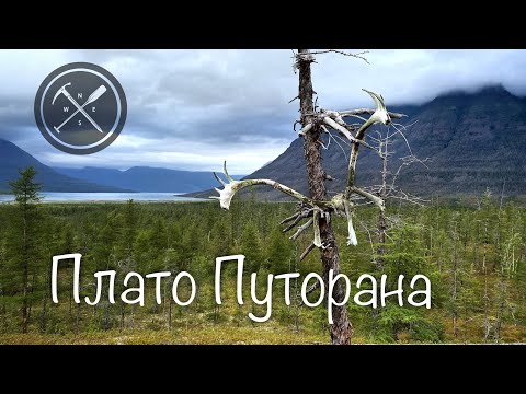 Видео: Плато Путорана